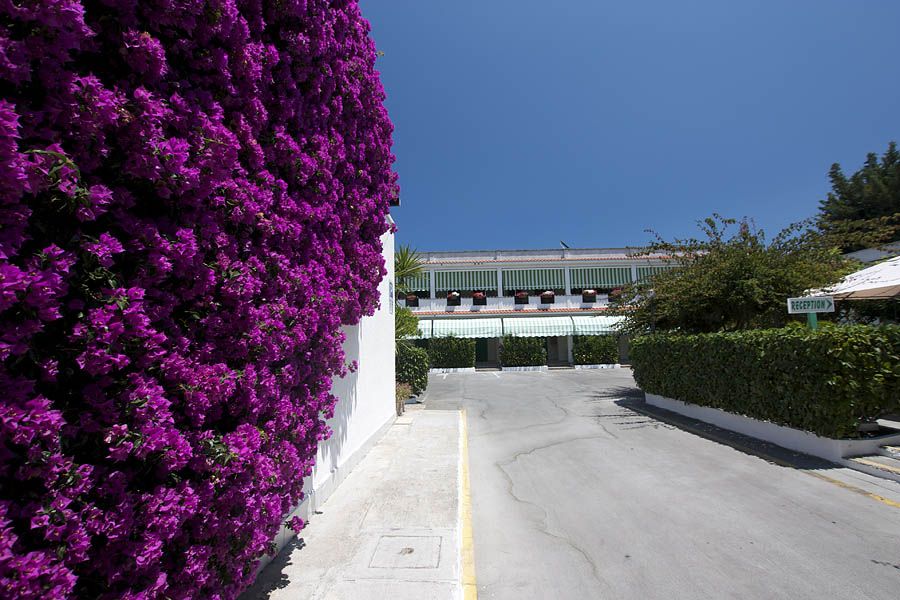 Vendita Albergo/Hotel Brindisi