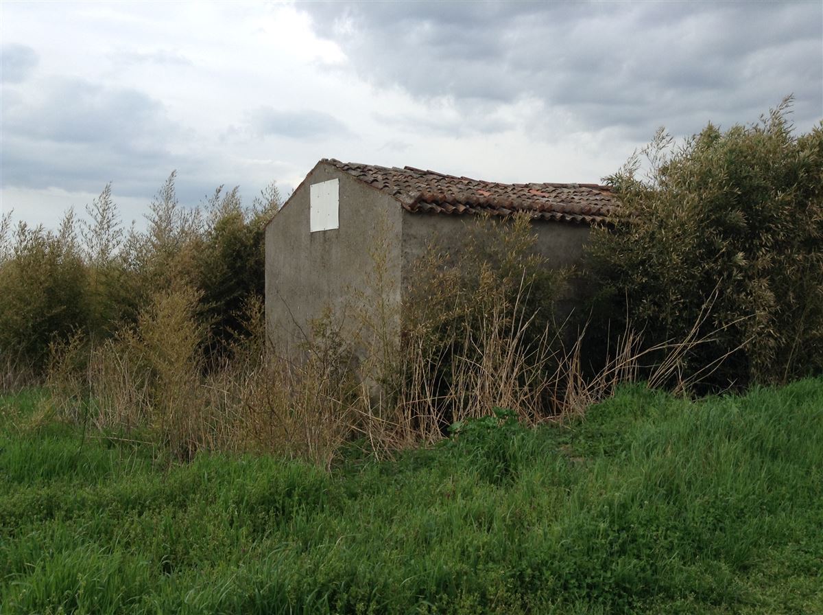 Vendita Terreno Agricolo Chioggia