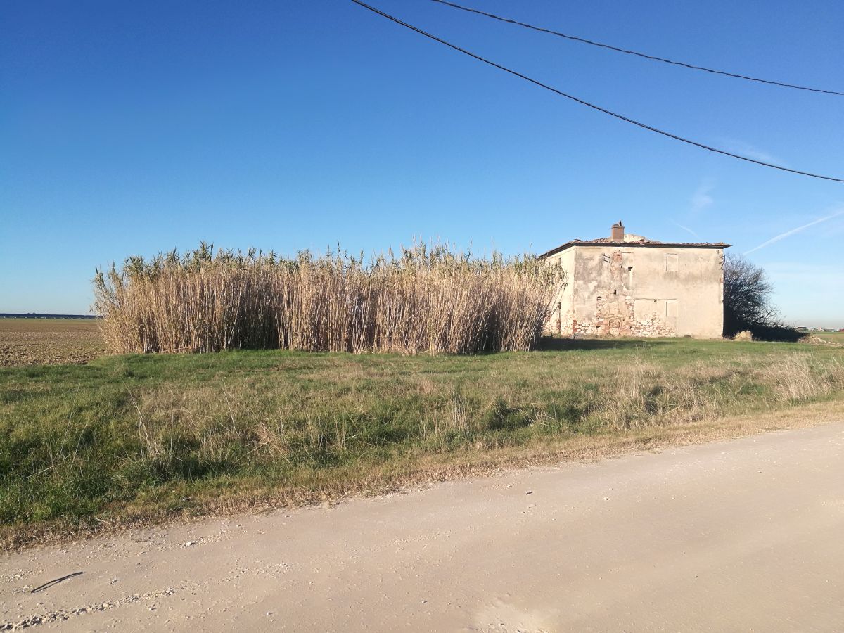 Vendita Rustico/Casale/Corte Cascina