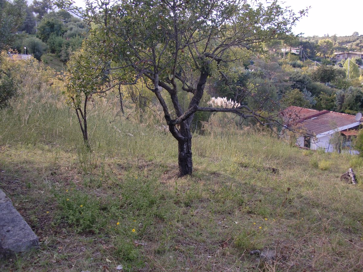 Vendita Appartamento San Giovanni a Piro