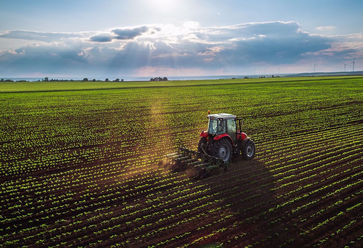 Vendita Terreno Agricolo Seriate