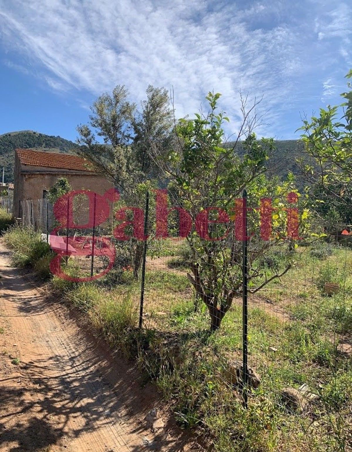 Terreno Agricolo in Vendita Bagheria