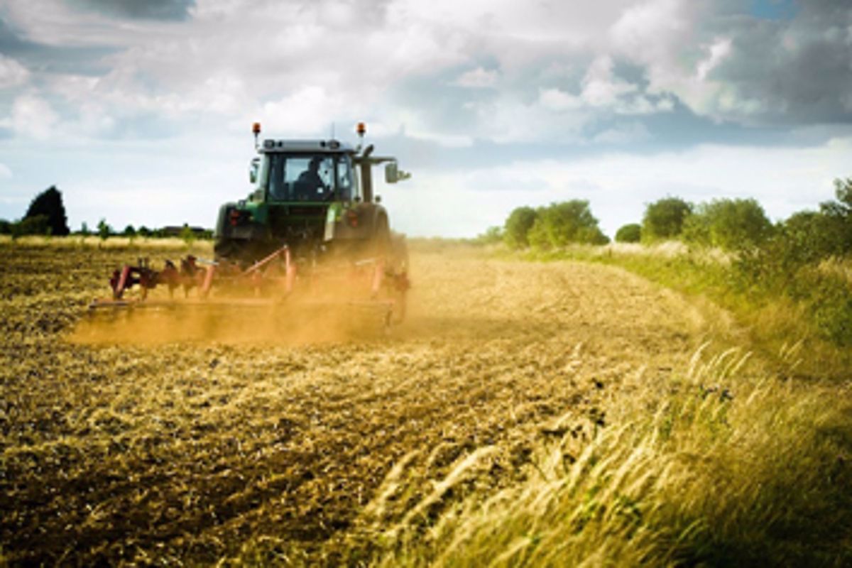 Vendita Terreno Agricolo Candiana