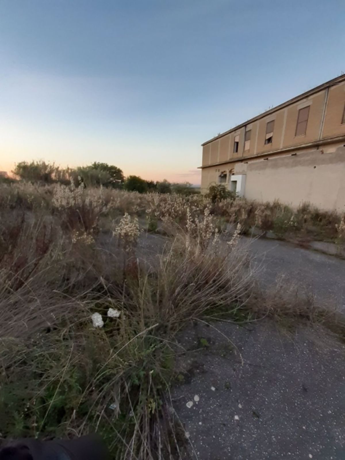 Vendita Capannone Industriale Monte Compatri