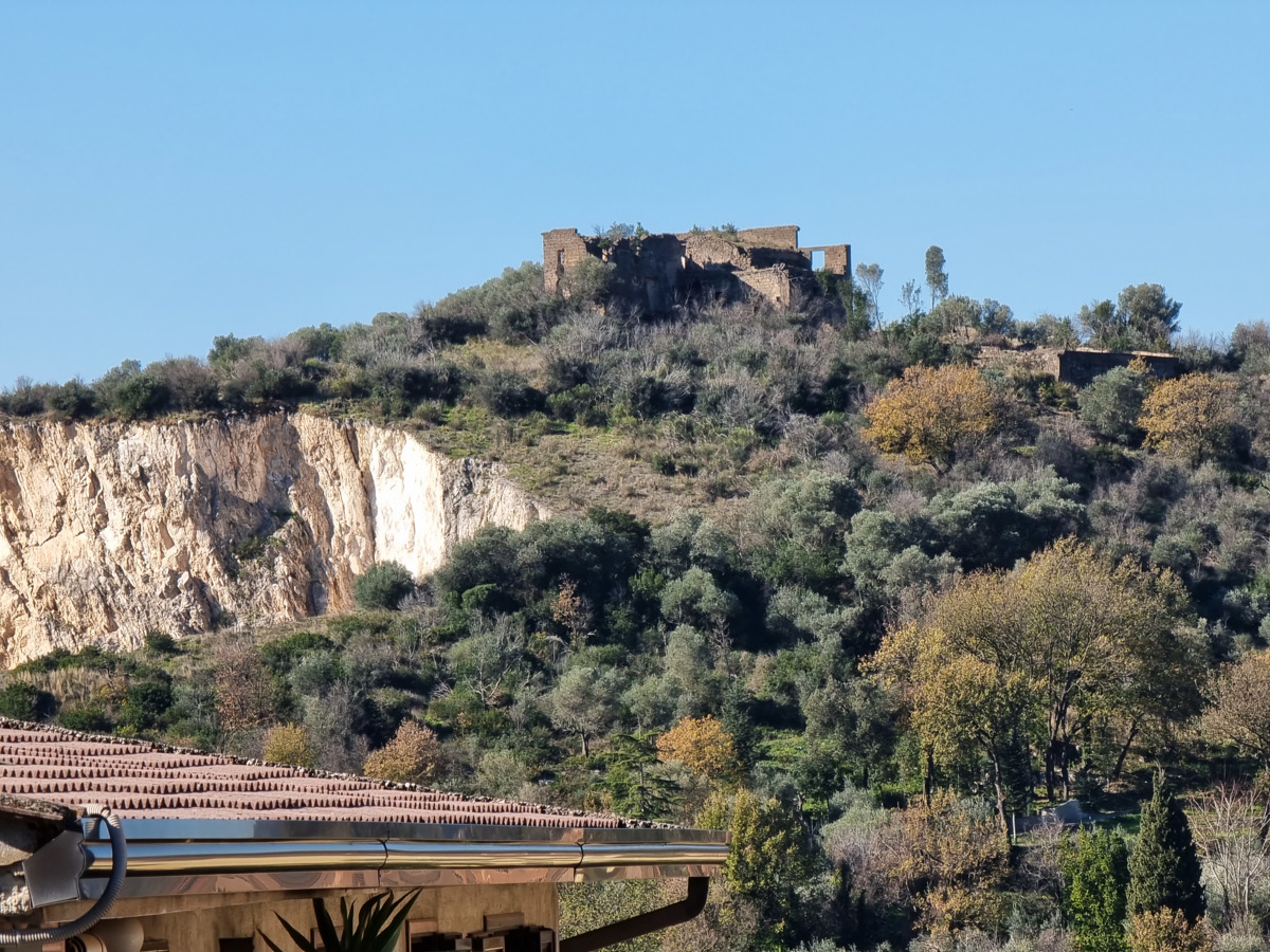 Vendita Appartamento Caserta