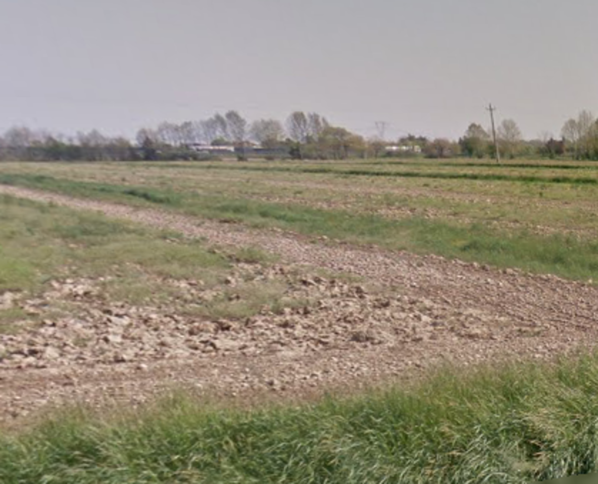 Vendita Terreno Agricolo Mogliano Veneto