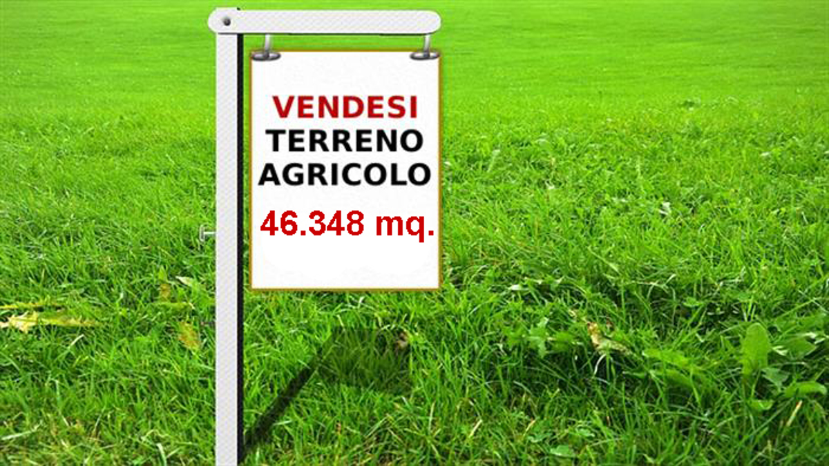 Vendita Terreno Agricolo Este